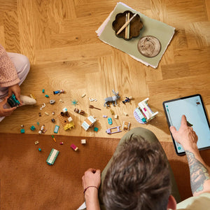 LEGO 43256 Приключението с шейна на Анна